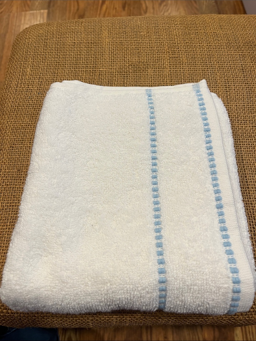 Scout White Bath Towel with Light Blue Accent Stripe